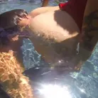 Dana Vespoli in 'Fluid'