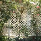 Dana Vespoli in 'My Evil Stepmom Fucked My Ass 3'