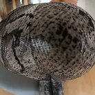 Erica Fontes in 'Spandex Loads 4'