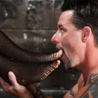 Layton Benton in 'When Porn Stars Attack! 04'