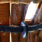 Sierra Sanders in 'Buttman Focused 9'