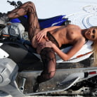 Abbie Cat in 'Rocco's Top Anal Models'