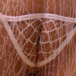 Buttman Focused 8
