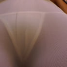 AJ Applegate in 'Buttman Focused 8'