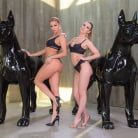 Alexis Crystal in 'Friends With Benefits'