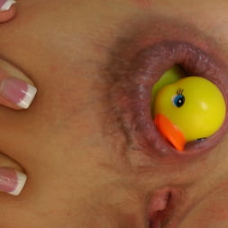 Buttman Focused 5