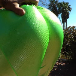 Buttman Focused 8
