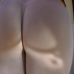 Buttman Focused 8
