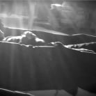 Brooklyn Lee in 'Voracious - Season 01 Episode 5'