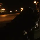 Brooklyn Lee in 'Voracious - Season 01 Episode 6'