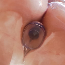Buttman Focused 10