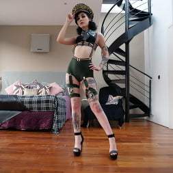 Anal Insanity