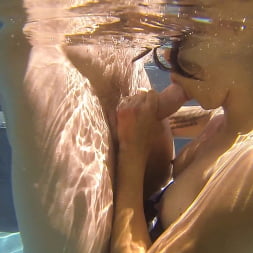 Fluid