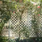 Dana Vespoli in 'My Evil Stepmom Fucked My Ass 3'