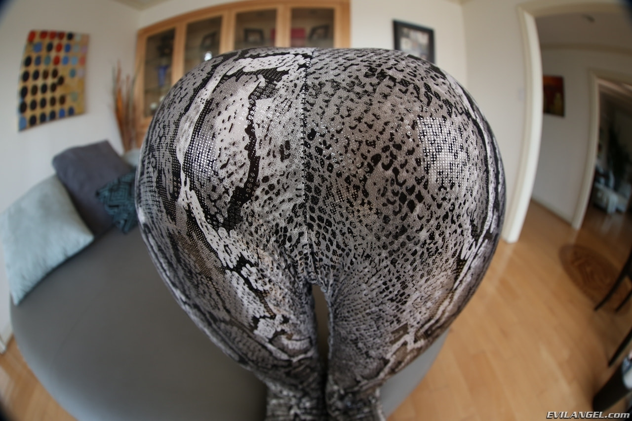 Spandex Loads 4