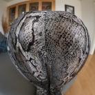 Erica Fontes in 'Spandex Loads 4'