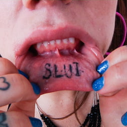Tinta anal