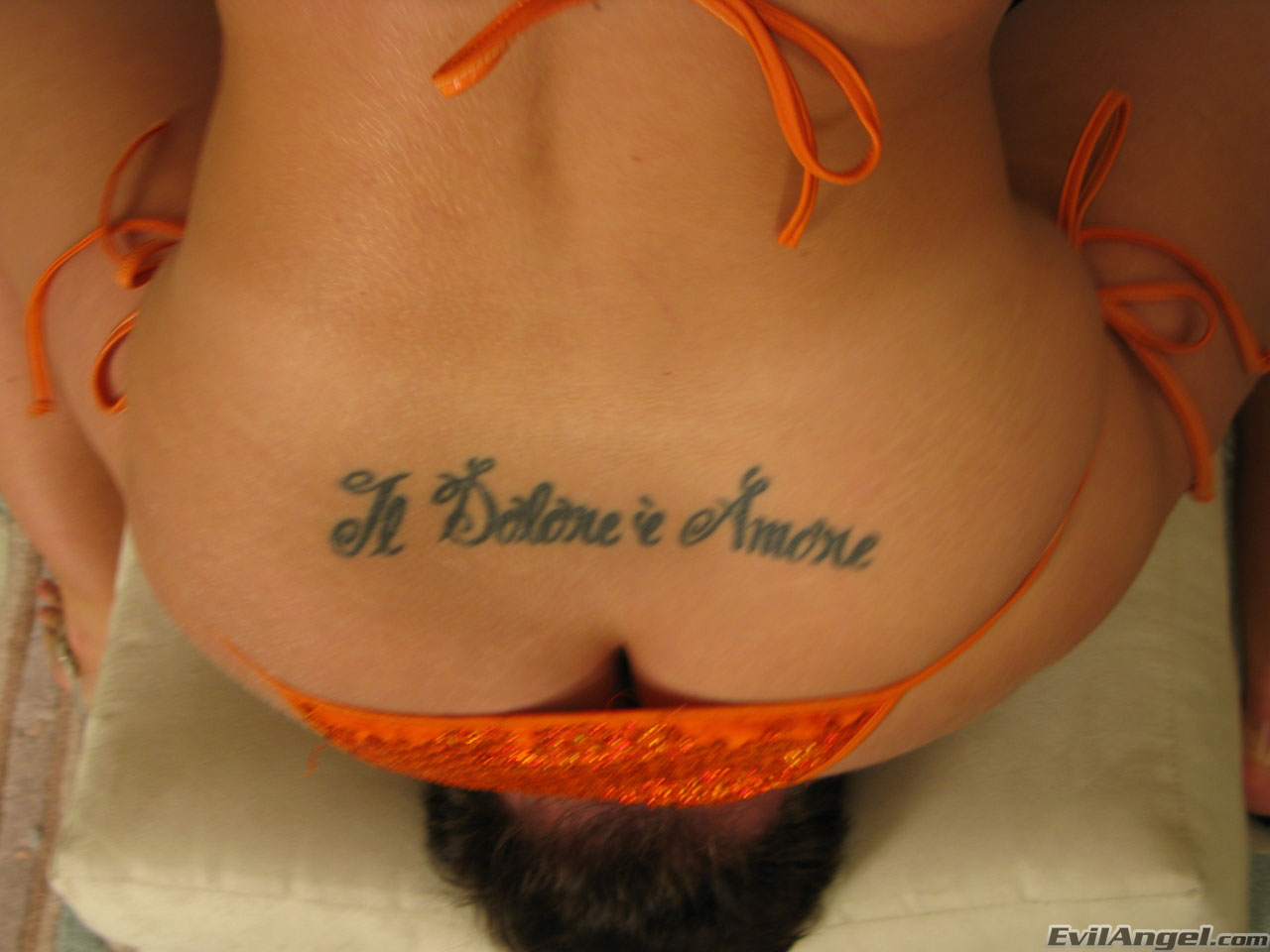 Asses Of Face Destruction 10