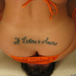 Asses Of Face Destruction 10
