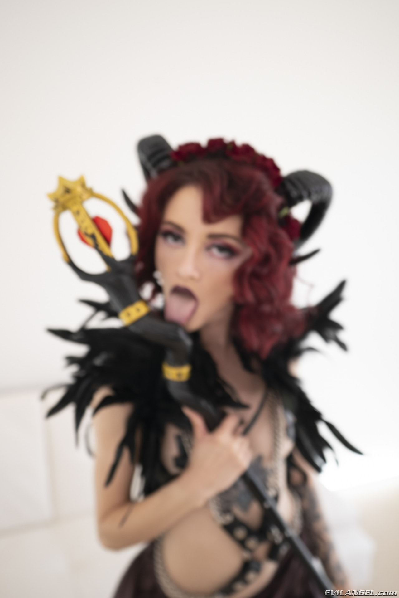 Fucked Up Anal Fantasies