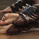 Monique Alexander in 'Fetish Fanatic 8'