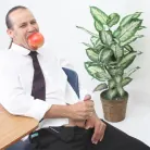 Natasha Starr in 'Evil Cuckold 6'