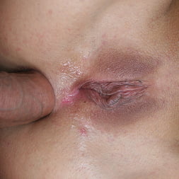 Anal Attack 5