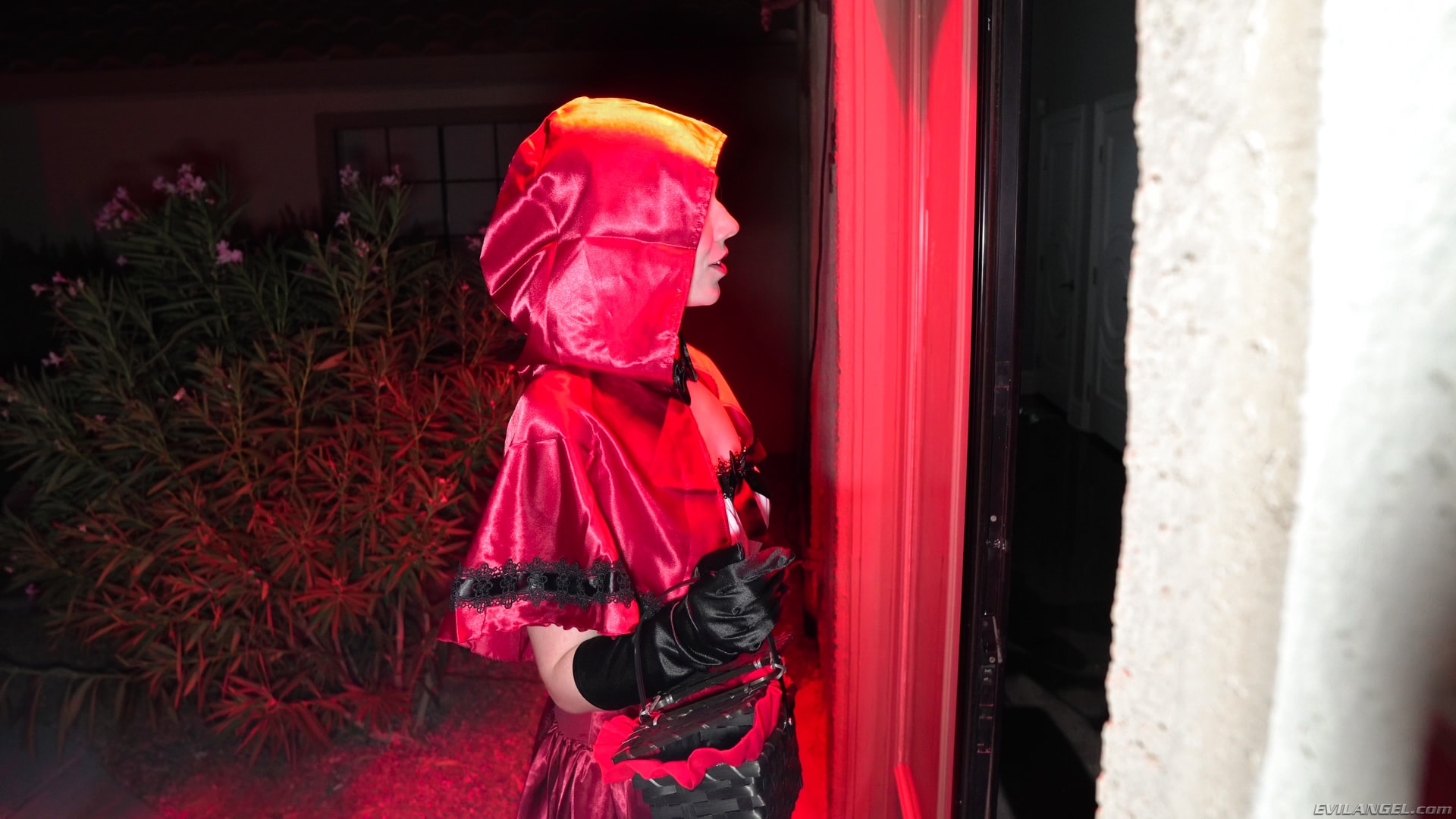 Little Red Rebel Riding Hood