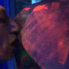 Sandra Romain in 'Voracious - Season 01 Episode 7'