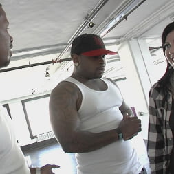 Dark Meat 4