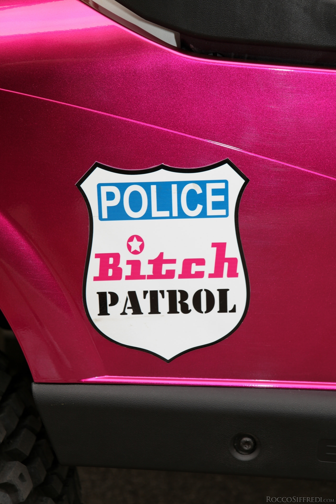 Rocco's Bitches In Uniform